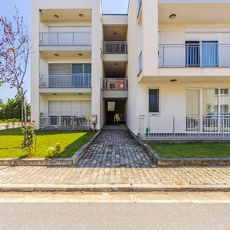 Talea Dream By Pikhost Lezhë